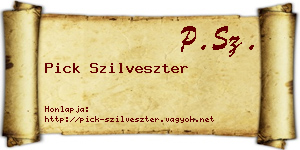Pick Szilveszter névjegykártya
